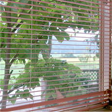 窓から見える田園風景